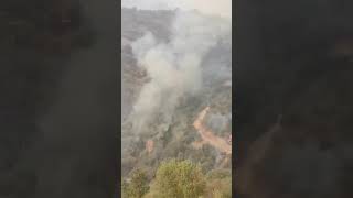 Algerie : les forets continuent de brûler à larbaa nath irathen