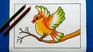 Bird Drawing For Beginners || How To Draw Bird Easy || Bird Drawing Colour || Easy Bird Drawing ||