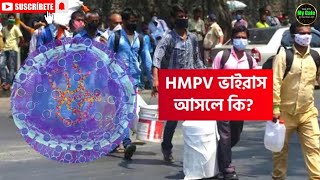 HMPV ভাইরাস আসলে কি? আসল সত্যি জানুন, করোনার মতো কি ভারতে ছড়িয়ে পড়বে? - my cafe