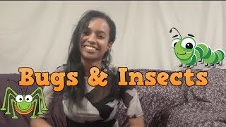 Bugs & Insects - S.T.E.M - Preschool