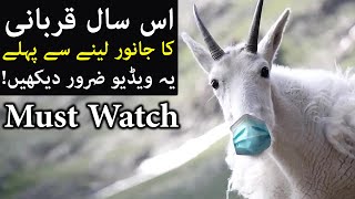 Qurbani Ka Janwar kharidne Se Pehle Ye Video Zarur Dekhin Must Watch | Eid al Adha 2020 Mehrban Ali