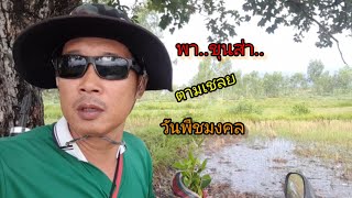 ต่อนกเขาใหญ่ by.พรานต้น#พาเจ้าขุนส่า ออกต่อวันพืชมงคล