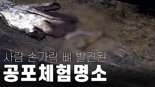 [미스터리] 공포체험 명소 '경산 코발트 광산'의 비밀