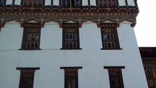 Majestic Sunshine Inside Tashichho Dzong | Bhutan | Land of Thunder Dragon