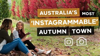 Australia's Most Instagrammable Autumn Town - Bright, Victoria