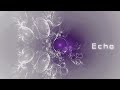 オリジナル echo