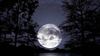 Moonlight Sonata 1st Movement - Short Version (HD)