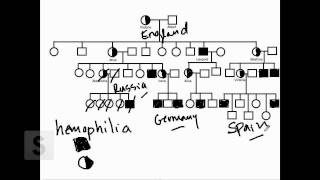 Saylor.org BIO305: Lynn Carpenter's "Your Pedigree"