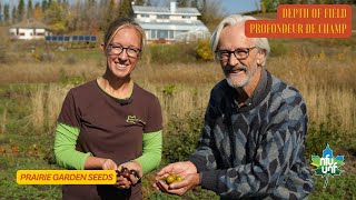 Prairie Garden Seeds - Depth of Field | Profondeur de champ