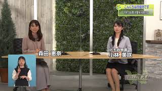 『令和３年度 児童手当現況届』５月５週 こども政策課