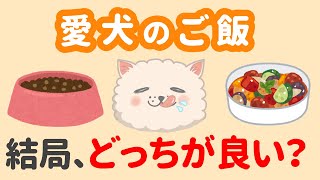 愛犬のご飯はドッグフードと手作り、どっちが良い？