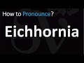 How to Pronounce Eichhornia? (CORRECTLY)