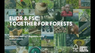 SPANISH - Introducing FSC Aligned for EUDR - Global Launch