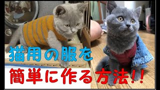 猫用の服を簡単に作る方法!!