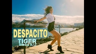 Tiger Zinda Hai Song -  Despacito Hindi Version | Salman Khan | Katrina Kaif