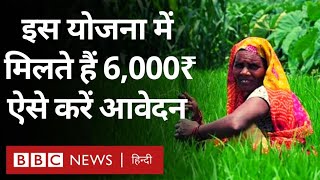 Farmers in India: PM किसान सम्मान निधि योजना में मिलते हैं 6 हज़ार रुपये, ऐसे करें आवेदन (BBC Hindi)