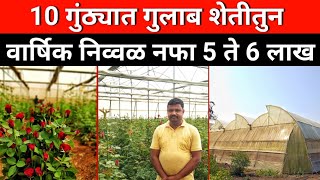 गुलाब शेती | दररोज ताजा पैसा देणारी शेती | Rose Farming | TRPS Episode 33 #gulab #गुलाब