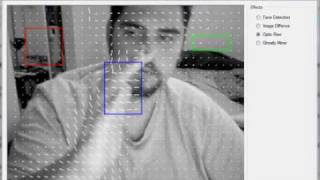 optic flow test