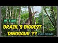 Brazil's Biggest Dinosaur ever found | Austroposeidon magnificus