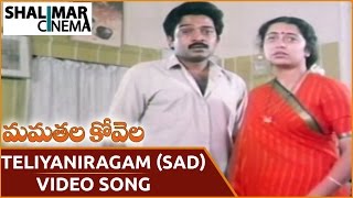 మమతల కోవెల సాంగ్స్ || Teliyaniragam (Sad) Video Song || Rajasekhar, Suhasini || Shalimarcinema
