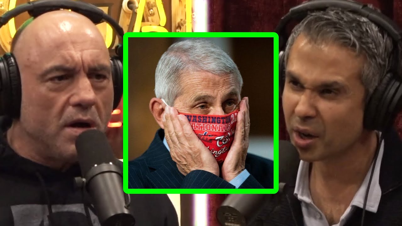 Food Pyramid How Different Foods Affect Your Body The Dr Binocs