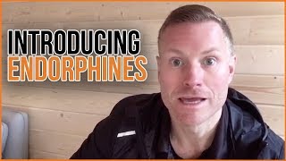 Introducing endorphins!