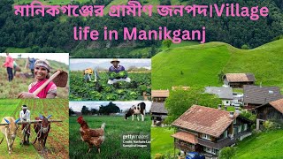 মানিকগঞ্জের গ্রামীণ জনপদ।Village life Manikganj