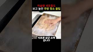 의외로 실생활에서 잘못 쓰던 청소 꿀팁