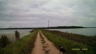 ANČIŲ MEDŽIOKLĖ   ARNIONYS 2016 08 31