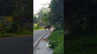 ഇവിടെ ആർക്കോ അവാർഡൊക്കെ കിട്ടിയെന്ന് അറിഞ്ഞല്ലോ 😄വീണ്ടും പോലീസ് സ്റ്റേഷന് മുന്നിൽ എത്തിയ ഗണപതി 😄