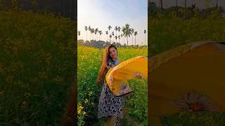 সরিষা ফুল 🌸 #সরিষা #সরিষাফুল #সরিষার #rangpur #rangpurcity #shortvideo #shorts #trending #youtube #y