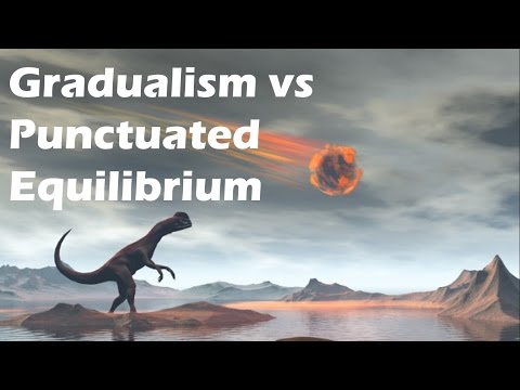 What is the difference between gradualism and punctuated equilibrium?