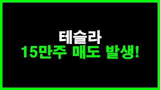 테슬라 15만주 매도 발생! 다 팔아야 하나?