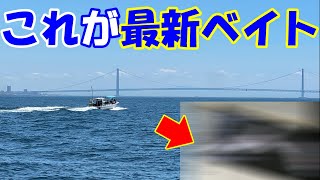 『今年のベイトは何かが違う』明石沖ジギング