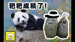 熊猫粪便做的卫生纸擦嘴，食屎啦你！内存价涨疯8G卖1000，垄断？！腾讯京东入股唯品会，电商要变天！【科技BB鸭】