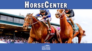 Horses to Watch: Twenty for 2023 on HorseCenter