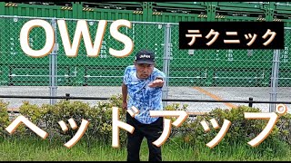 OWS  ヘッドアップ　テクニック