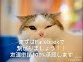 vivavideoで簡単スマホ動画を作成