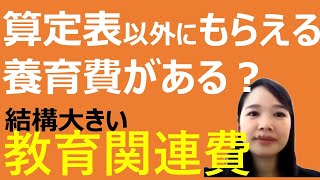 意外と重要！養育費算定表の金額以外に加算してもらえる教育関連費とは？