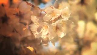 Haverstock Funeral Home Funeral Cremation Services for La Porte, IN Residentstring