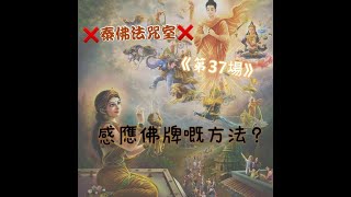 泰佛法咒室 【第37場】感應佛牌有咩方法⁉️ 有咩法事師父可以遙距為我地做?? #泰佛法咒室 #泰國法科師父阿贊講解 #廣東話翻譯 #緣慧佛舍 #逢星期三晚FB直播 #CrystalLee #泰國佛牌