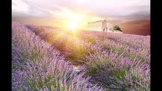 GOOD MORNING MUSIC | Boost Positive Energy | 528Hz  Wake Up Music - A Beautiful Day  - A Magical day