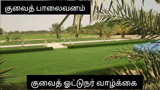 குவைத் பாலைவனம் குவைத் ஓட்டுநர் வாழ்க்கை #tamil #kuwaittamil #குவைத் // subscribe pannunga like