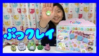 Pucclay♡ぷっクレイ！すみっコぐらしミニフィギュアをつくろう★