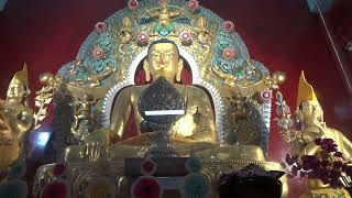 འབྲས་སྤུངས་ཀླུ་འབུམ་དུས་ཆེན།  ༢༠༢༤/༩/༡༡