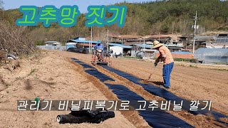 4월22일 관리기 비닐 피복기로 고추비닐 덮기-고추망 짓기/고추모종은 정식할 때가 되었습니다~고추모종내기 84일차