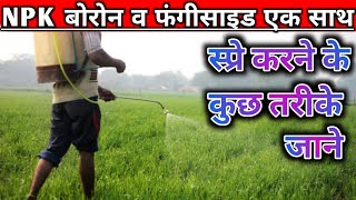 npk और फंगीसाइड मिक्स करने का तरीका। fertilizer and fungicide how to mixing together।