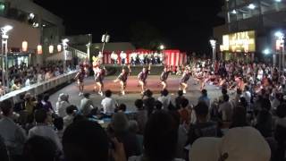 「飛鳥連」さん。2016成増阿波踊り。輪踊り演舞場