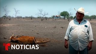 Ascienden a 48 las víctimas mortales por la ola de calor en México | Noticias Telemundo
