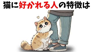 【猫好き必見!】猫の雑学25選 #猫 #ねこ #猫好き